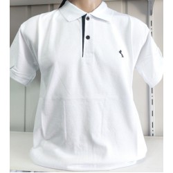 Футболка чоловіча (M-3XL) лакоста 5 шт HR1890_260352