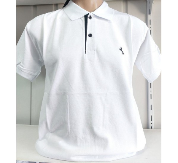 Футболка чоловіча (M-3XL) лакоста 5 шт HR1890_260352