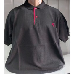 Футболка чоловіча (4-8XL) лакоста 5 шт HR1890_260353