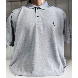 Футболка чоловіча (4-8XL) лакоста 5 шт HR1890_260356