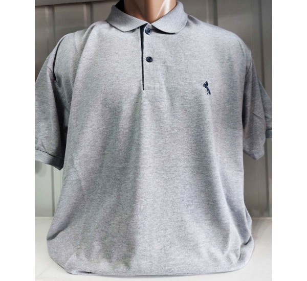 Футболка чоловіча (4-8XL) лакоста 5 шт HR1890_260356