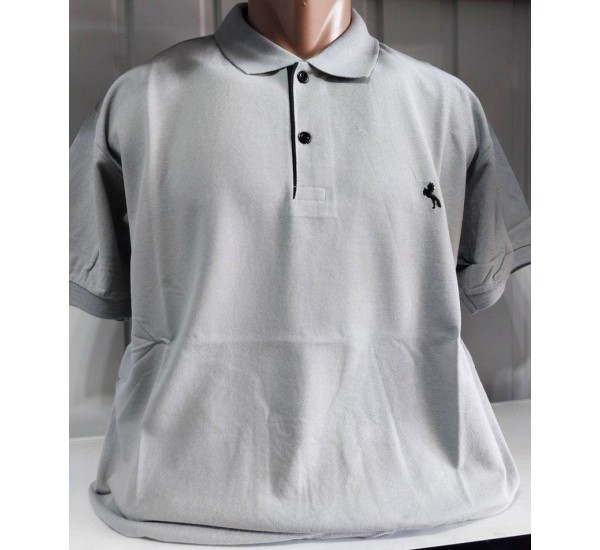 Футболка чоловіча (4-8XL) лакоста 5 шт HR1890_260357