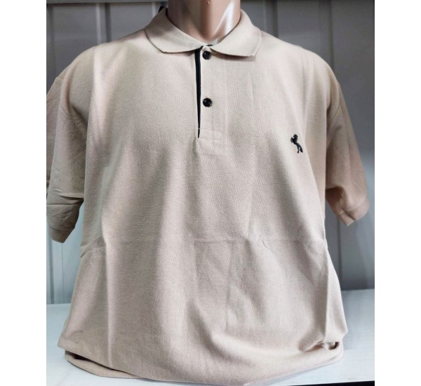 Футболка чоловіча (4-8XL) лакоста 5 шт HR1890_260358