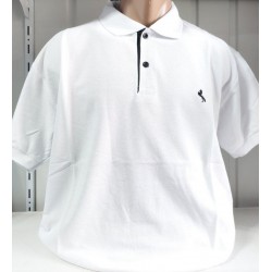 Футболка чоловіча (4-8XL) лакоста 5 шт HR1890_260359