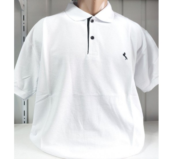 Футболка чоловіча (4-8XL) лакоста 5 шт HR1890_260359