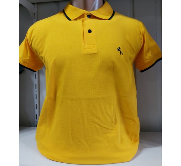 Футболка чоловіча (M-3XL) трикотаж 5 шт HR1890_260363