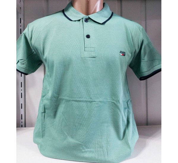 Футболка чоловіча (M-3XL) трикотаж 5 шт HR1890_260364