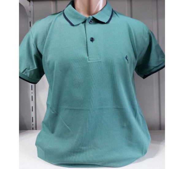 Футболка чоловіча (M-3XL) трикотаж 5 шт HR1890_260367