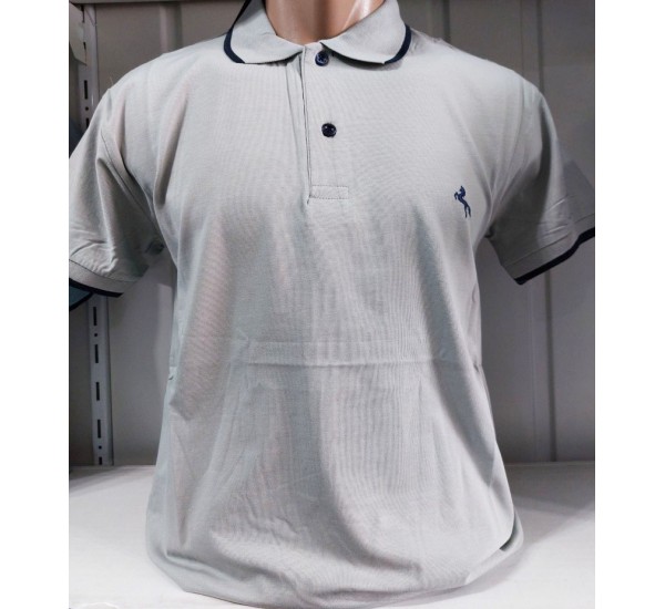 Футболка чоловіча (M-3XL) трикотаж 5 шт HR1890_260368