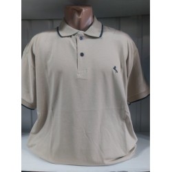 Футболка чоловіча (4-8XL) трикотаж 5 шт HR1890_260307