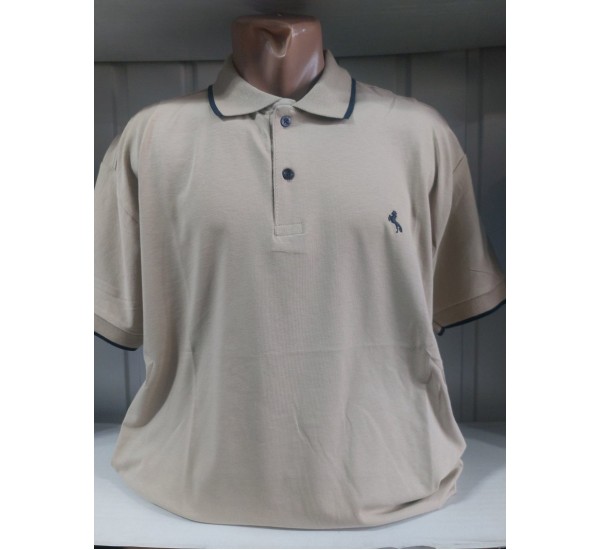 Футболка чоловіча (4-8XL) трикотаж 5 шт HR1890_260307