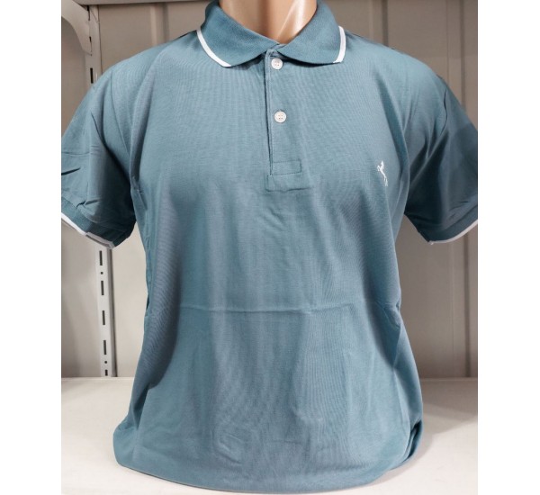 Футболка чоловіча (M-3XL) трикотаж 5 шт HR1890_260371