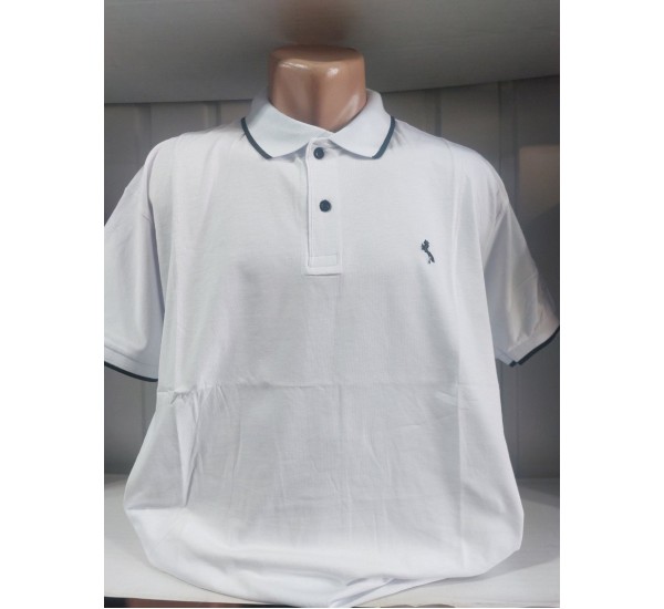 Футболка чоловіча (4-8XL) трикотаж 5 шт HR1890_260308