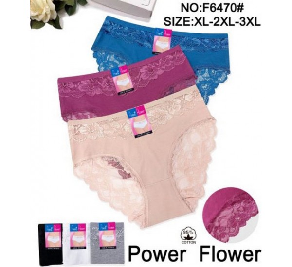 Труси жіночі Батал 24 шт (1-3XL) коттон KiE_F6470