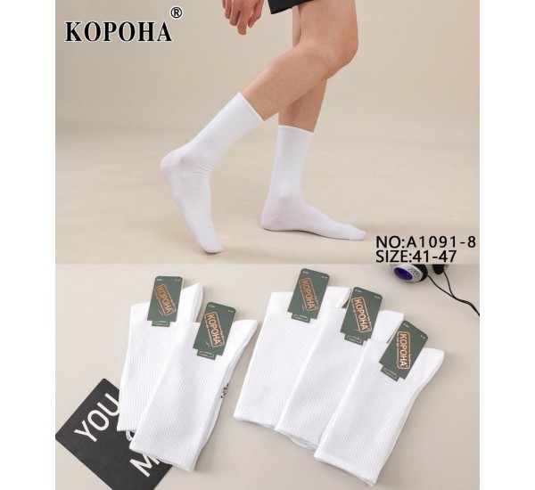 Шкарпетки чоловічі 10 шт (41-47 р) коттон KiE_A1091-8
