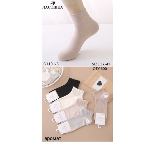 Шкарпетки жіночі 10 шт (37-41 р) коттон KiE_C1101-3