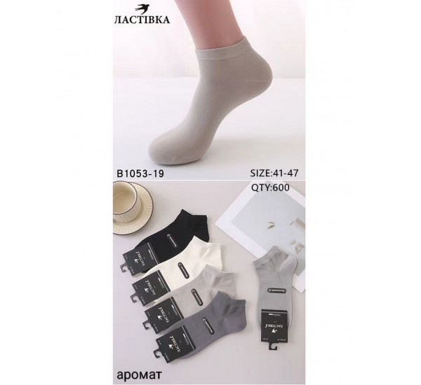 Шкарпетки чоловічі 10 шт (41-47 р) коттон KiE_B1053-19