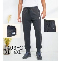 Спорт штани чоловічі 6 шт (1-4XL) коттон KiE_1403-2