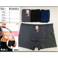 Труси чоловічі 24 шт (5-8XL) масло KiE_W38001