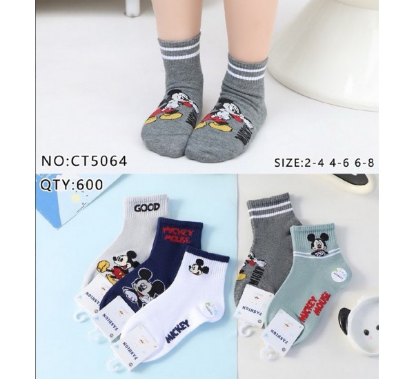 Шкарпетки дитячі 10 шт (2-8 років) бавовна KiE_CT5064