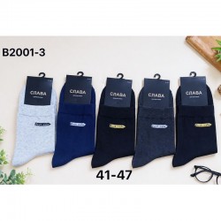 Шкарпетки чоловічі, 10 шт (41-47 р) коттон KiE_B2001-3