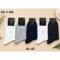 Шкарпетки чоловічі, 10 шт (41-47 р) коттон KiE_20-1-09