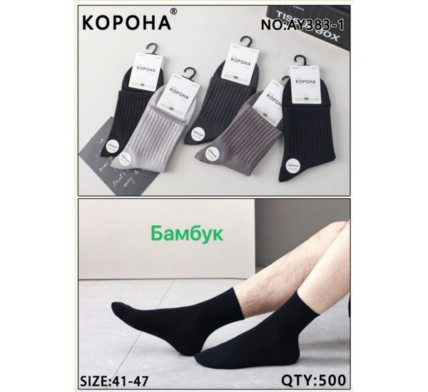 Шкарпетки чоловічі 10 шт (41-47 р) бамбук KiE_AY382-1