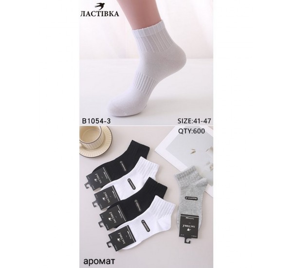 Шкарпетки чоловічі 10 шт (41-47 р) коттон KiE_B1054-3