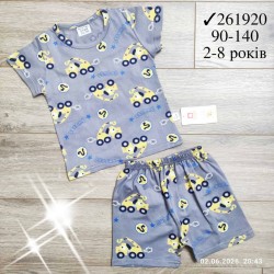 Костюм для хлопчиків 6 шт коттон (2-8 років) MiLi_261920-5