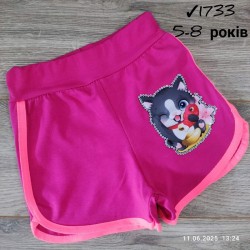 Шорты для девочек 4 шт коттон (5-8 лет) MiLi_1733-7