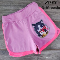 Шорты для девочек 4 шт коттон (5-8 лет) MiLi_1733-8