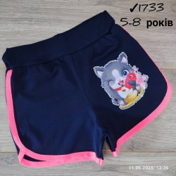 Шорты для девочек 4 шт коттон (5-8 лет) MiLi_1733-9