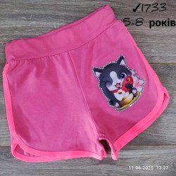 Шорты для девочек 4 шт коттон (5-8 лет) MiLi_1733-10