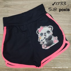 Шорты для девочек 4 шт коттон (5-8 лет) MiLi_1733-13