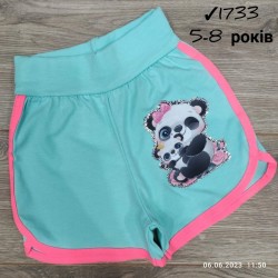 Шорты для девочек 4 шт коттон (5-8 лет) MiLi_1733-14