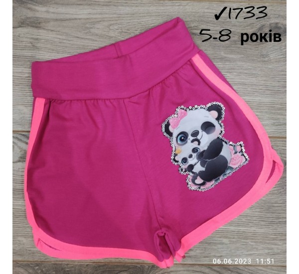 Шорты для девочек 4 шт коттон (5-8 лет) MiLi_1733-15