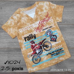 Футболка для хлопчиків 4 шт коттон (2-5 років) MiLi_1024-2