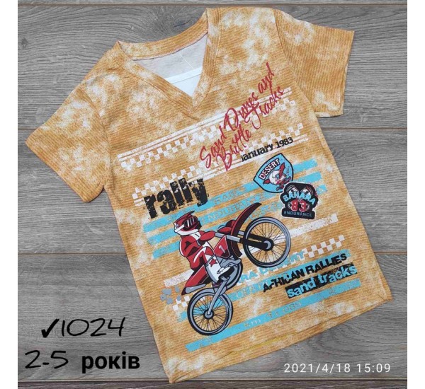 Футболка для хлопчиків 4 шт коттон (2-5 років) MiLi_1024-2