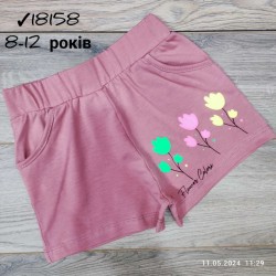 Шорты для девочек 5 шт коттон (8-12 лет) MiLi_18158-5