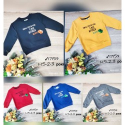 Батник для хлопчиків 4 шт двонитка (1-3 роки) MiLi_17159
