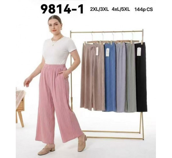 Штани жіночі 6 шт (2-5XL) жатка PaH_9814-1