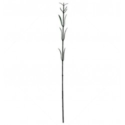 Нога гвоздики штучна, 100 штук RuS_F24_Z-09