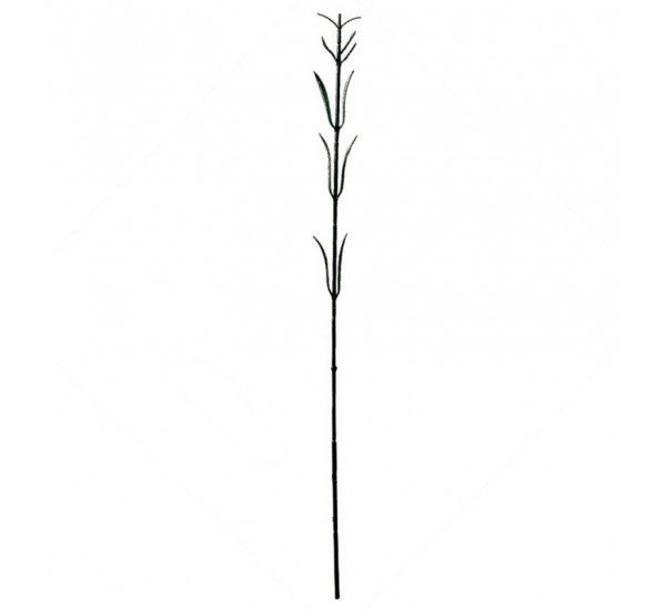 Нога гвоздики штучна, 100 штук RuS_F24_Z-09