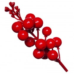 Добавка горобина штучна, 100 штук RuS_H16_Y015