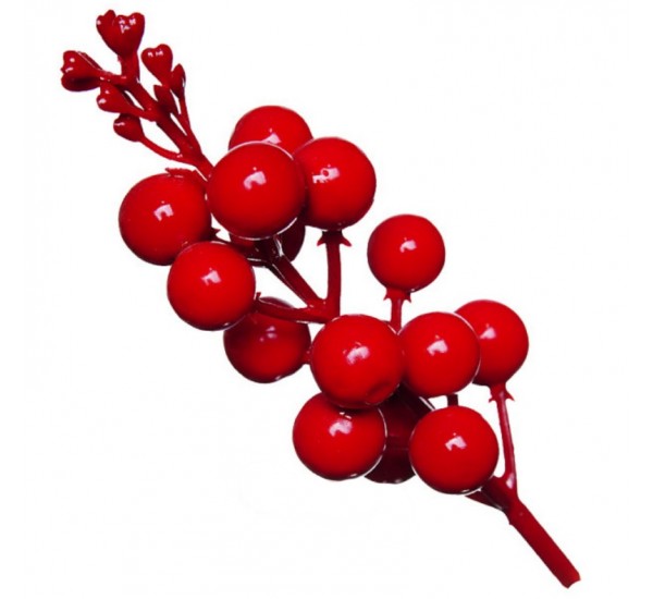 Добавка горобина штучна, 100 штук RuS_H16_Y015