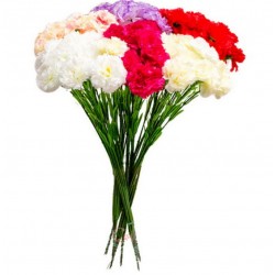 Букет штучний гвоздик, 20 штук RuS_C5_C-0052