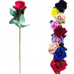 Гілка троянди оксамитова, 60 штук RuS_C13_Z-10B