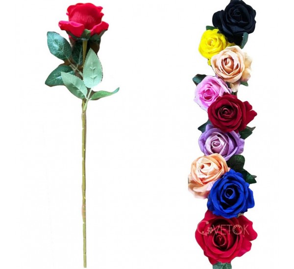 Гілка троянди оксамитова, 60 штук RuS_C13_Z-10B