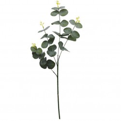 Гілка евкаліпта штучна, 30 штук RuS_C35_GK-9