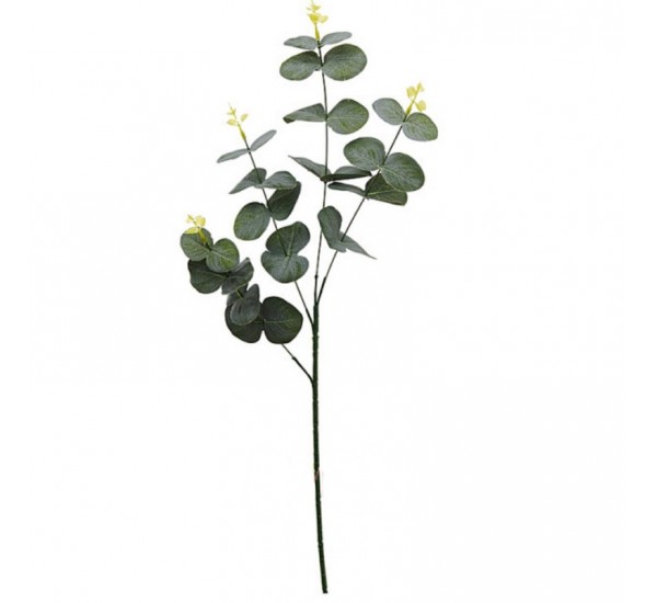 Гілка евкаліпта штучна, 30 штук RuS_C35_GK-9